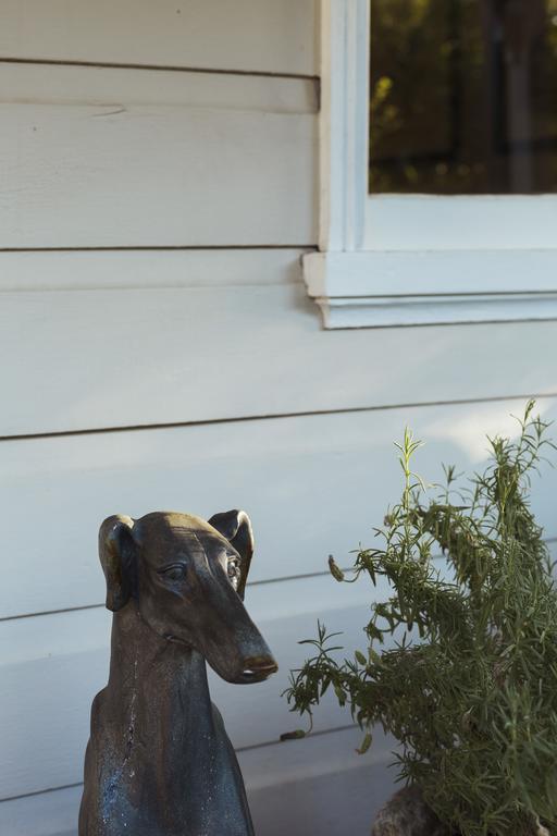 Illalangi Boutique Cottage Blackheath Eksteriør billede